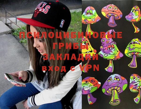 прущие грибы Алзамай