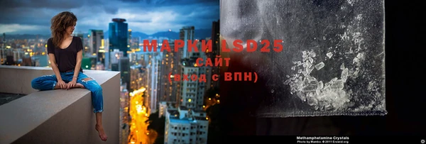 прущие грибы Алзамай