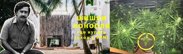 амф Алексин
