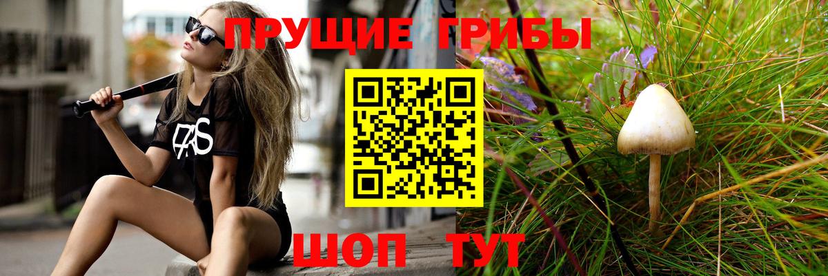 что такое наркотик  Галлюциногенные грибы Psilocybine cubensis  Коркино  Вход с VPN  Псилоцибиновые грибы мицелий 